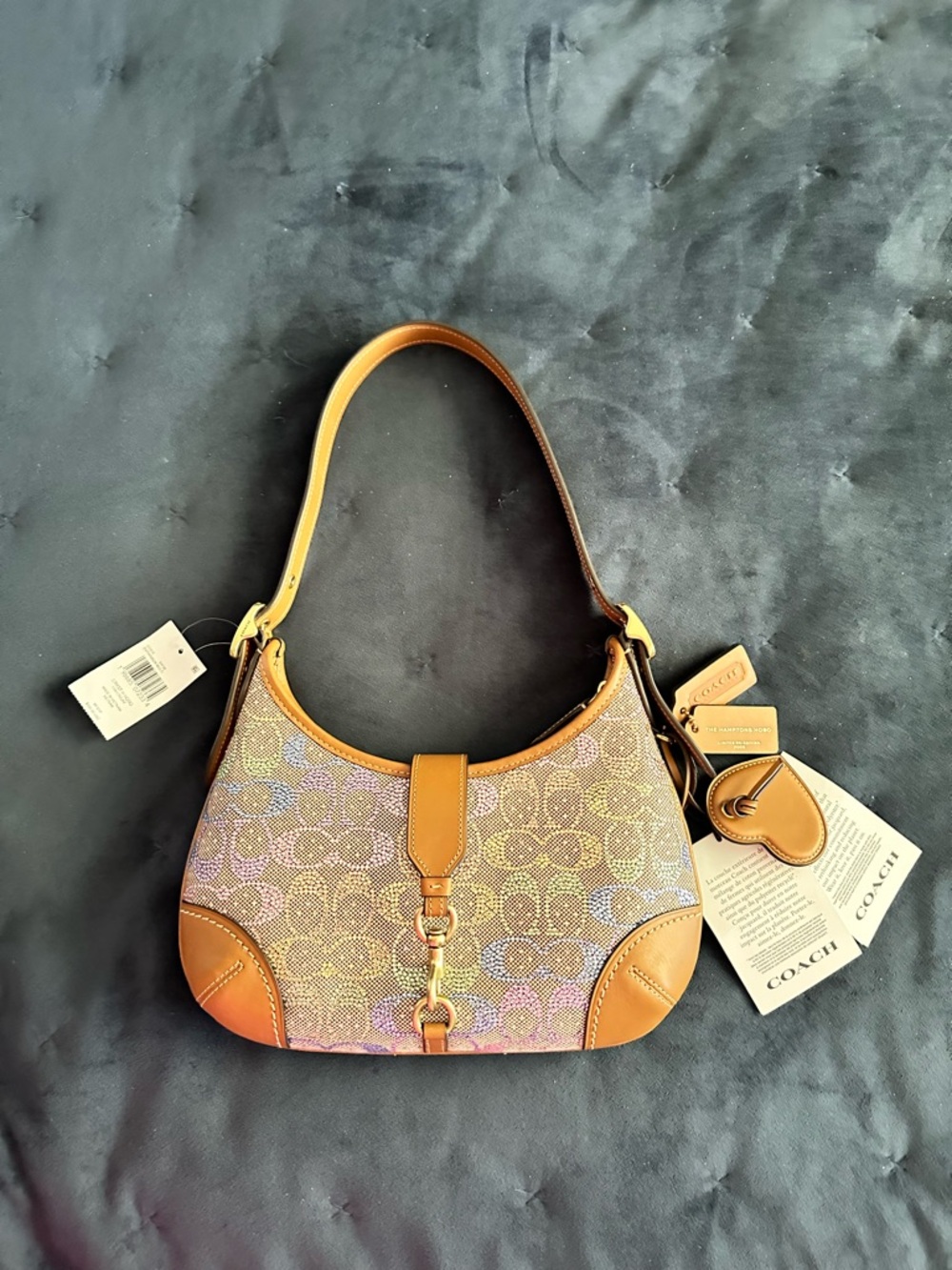 COACH rainbow crystal Hampton hobo